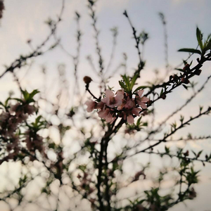 黄瓜视频♥成人app♥i
